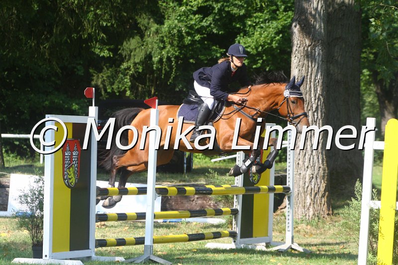 308M9666_Prima Donna_Spring_A.JPG